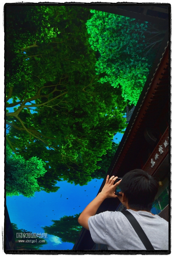 9月8日，在西安市大雁塔景區(qū)，“天幕”景觀吸引游客駐足觀看，并拿出手機(jī)拍攝。